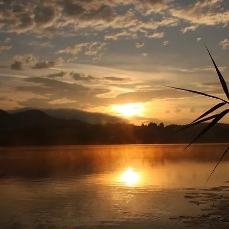 Martha Obersammelsdorf