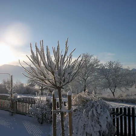 Martha * Obersammelsdorf