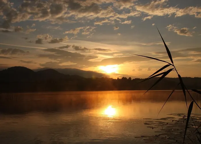 Martha Obersammelsdorf