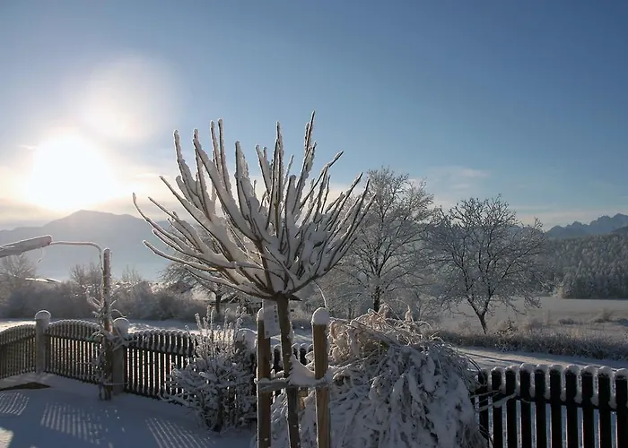Martha * Obersammelsdorf